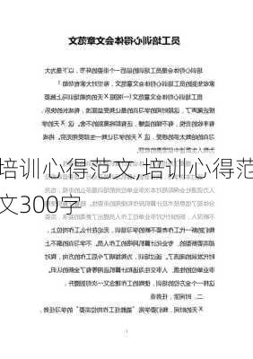 培训心得范文,培训心得范文300字