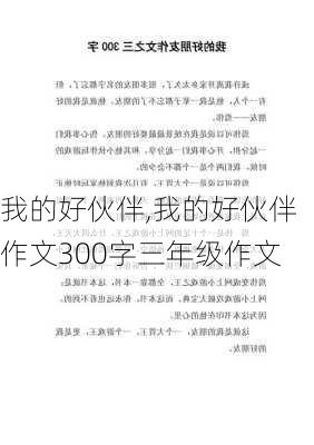 我的好伙伴,我的好伙伴作文300字三年级作文