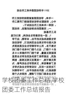 学校团委工作总结,学校团委工作总结报告