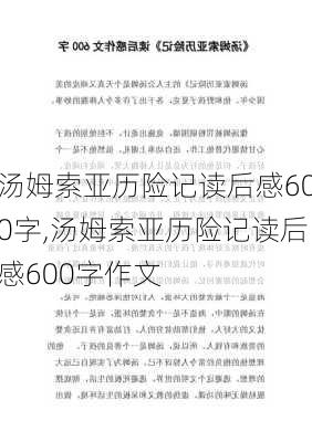 汤姆索亚历险记读后感600字,汤姆索亚历险记读后感600字作文