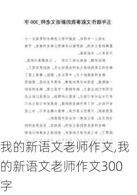 我的新语文老师作文,我的新语文老师作文300字