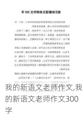 我的新语文老师作文,我的新语文老师作文300字