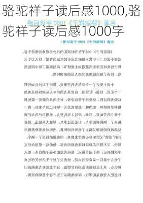 骆驼祥子读后感1000,骆驼祥子读后感1000字