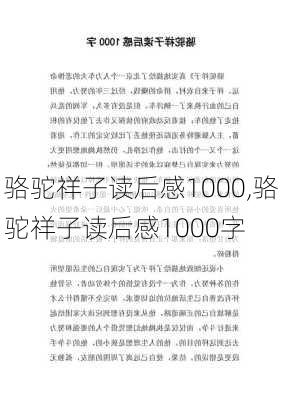 骆驼祥子读后感1000,骆驼祥子读后感1000字