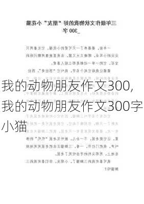 我的动物朋友作文300,我的动物朋友作文300字小猫