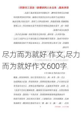 尽力而为就好 作文,尽力而为就好作文600字