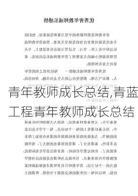 青年教师成长总结,青蓝工程青年教师成长总结