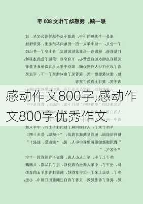 感动作文800字,感动作文800字优秀作文