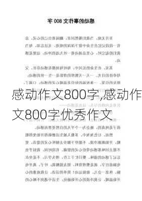 感动作文800字,感动作文800字优秀作文