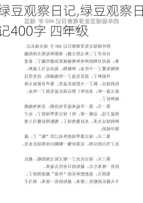 绿豆观察日记,绿豆观察日记400字 四年级