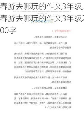 春游去哪玩的作文3年级,春游去哪玩的作文3年级200字