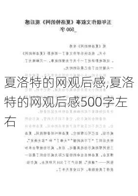 夏洛特的网观后感,夏洛特的网观后感500字左右