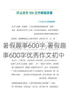 暑假趣事600字,暑假趣事600字优秀作文初中