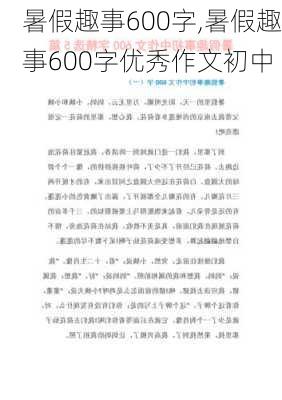 暑假趣事600字,暑假趣事600字优秀作文初中