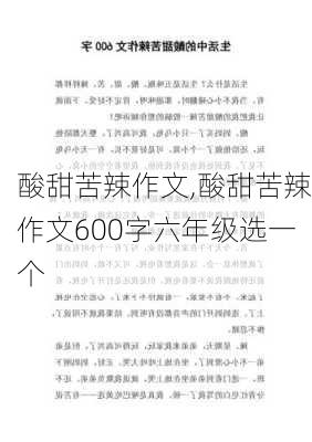 酸甜苦辣作文,酸甜苦辣作文600字六年级选一个