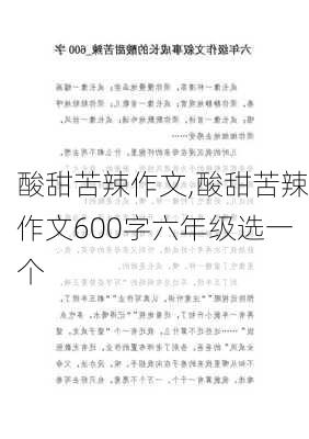 酸甜苦辣作文,酸甜苦辣作文600字六年级选一个