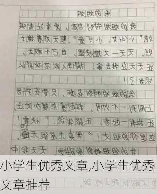 小学生优秀文章,小学生优秀文章推荐