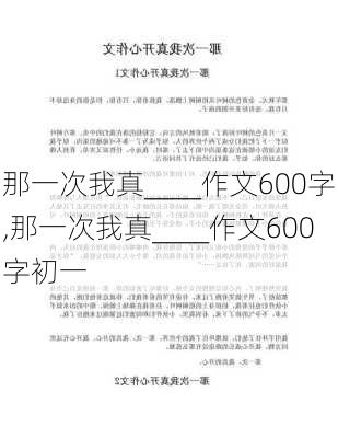 那一次我真____作文600字,那一次我真____作文600字初一