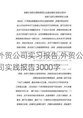 外贸公司实习报告,外贸公司实践报告3000字