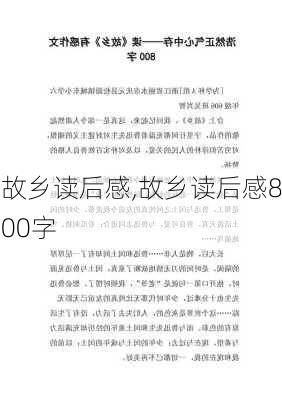 故乡读后感,故乡读后感800字