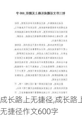 成长路上无捷径,成长路上无捷径作文600字