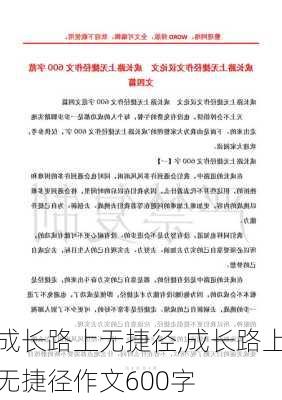 成长路上无捷径,成长路上无捷径作文600字