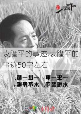 袁隆平的事迹,袁隆平的事迹50字左右