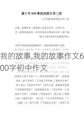 我的故事,我的故事作文600字初中作文