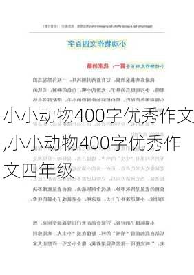 小小动物400字优秀作文,小小动物400字优秀作文四年级