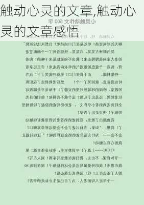 触动心灵的文章,触动心灵的文章感悟