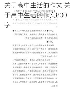 关于高中生活的作文,关于高中生活的作文800字