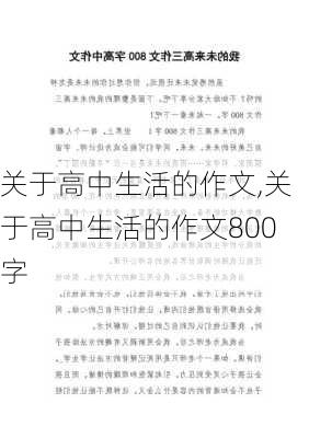 关于高中生活的作文,关于高中生活的作文800字