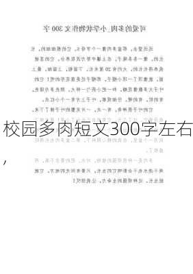 校园多肉短文300字左右,