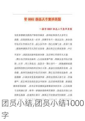 团员小结,团员小结1000字