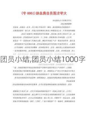 团员小结,团员小结1000字