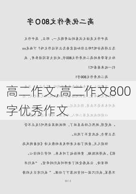 高二作文,高二作文800字优秀作文