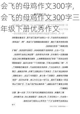 会飞的母鸡作文300字,会飞的母鸡作文300字三年级下册优秀作文