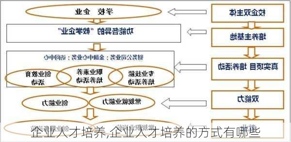 企业人才培养,企业人才培养的方式有哪些