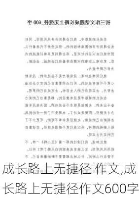 成长路上无捷径 作文,成长路上无捷径作文600字