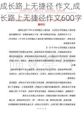 成长路上无捷径 作文,成长路上无捷径作文600字