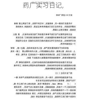 药厂实习日记,