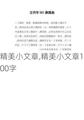 精美小文章,精美小文章100字