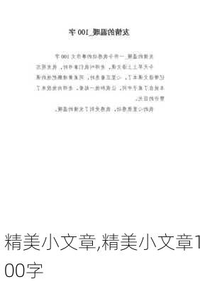 精美小文章,精美小文章100字