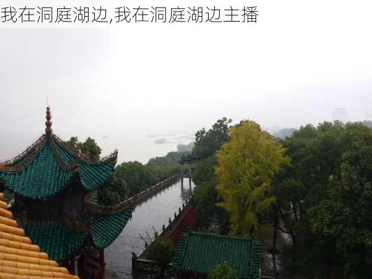 我在洞庭湖边,我在洞庭湖边主播