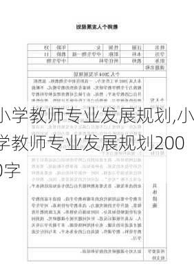 小学教师专业发展规划,小学教师专业发展规划2000字