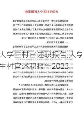 大学生村官述职报告,大学生村官述职报告2023