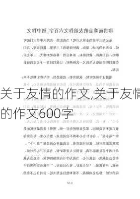 关于友情的作文,关于友情的作文600字