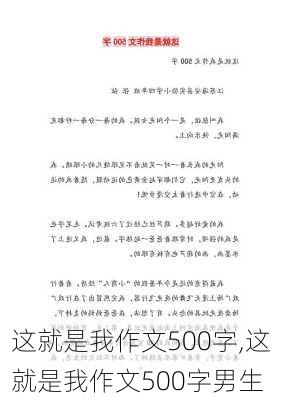 这就是我作文500字,这就是我作文500字男生