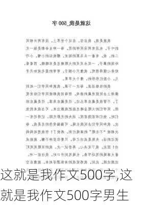 这就是我作文500字,这就是我作文500字男生