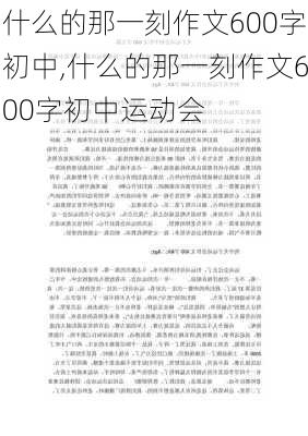 什么的那一刻作文600字初中,什么的那一刻作文600字初中运动会